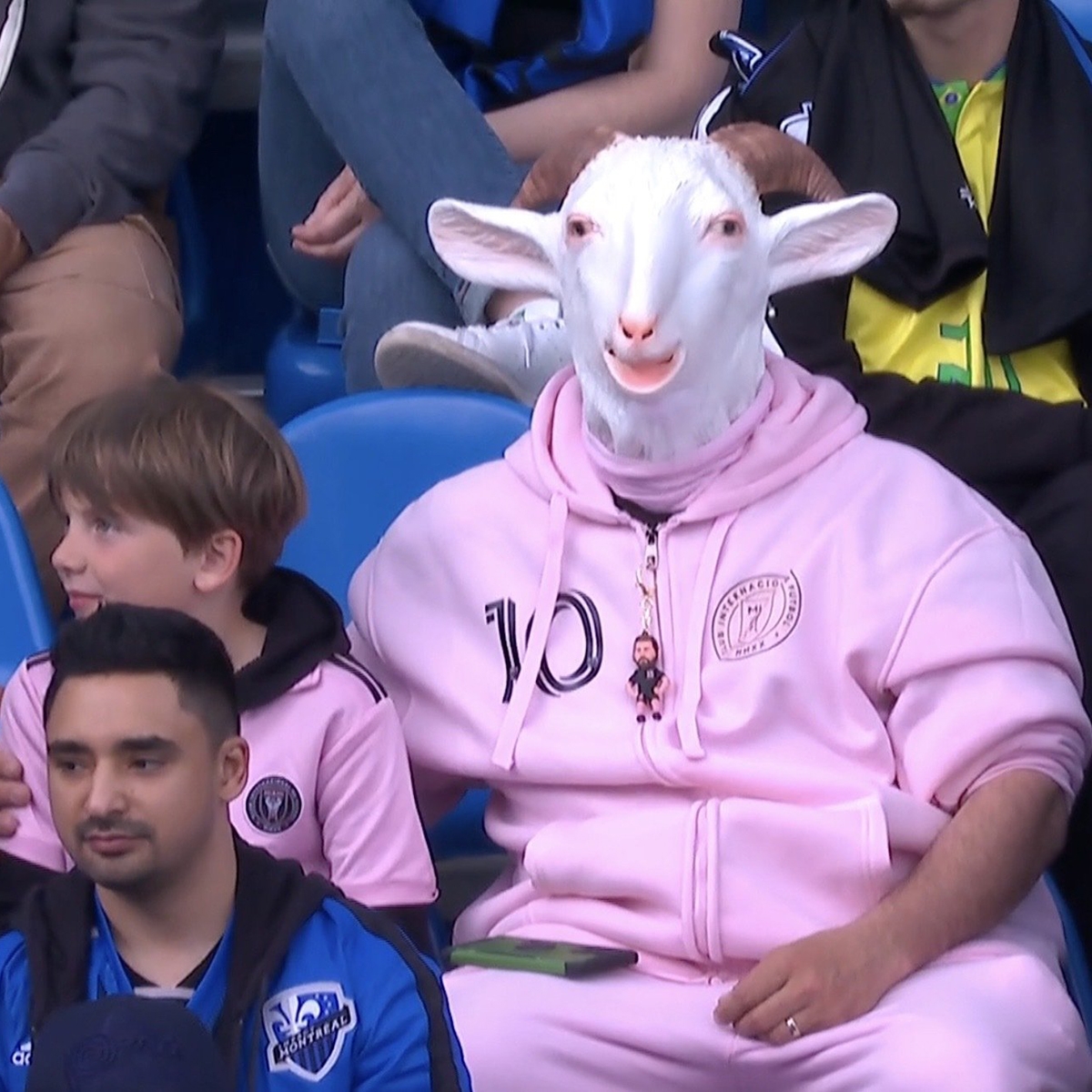 有点吓人！迈阿密国际球迷带上山羊头套，在看台观赛